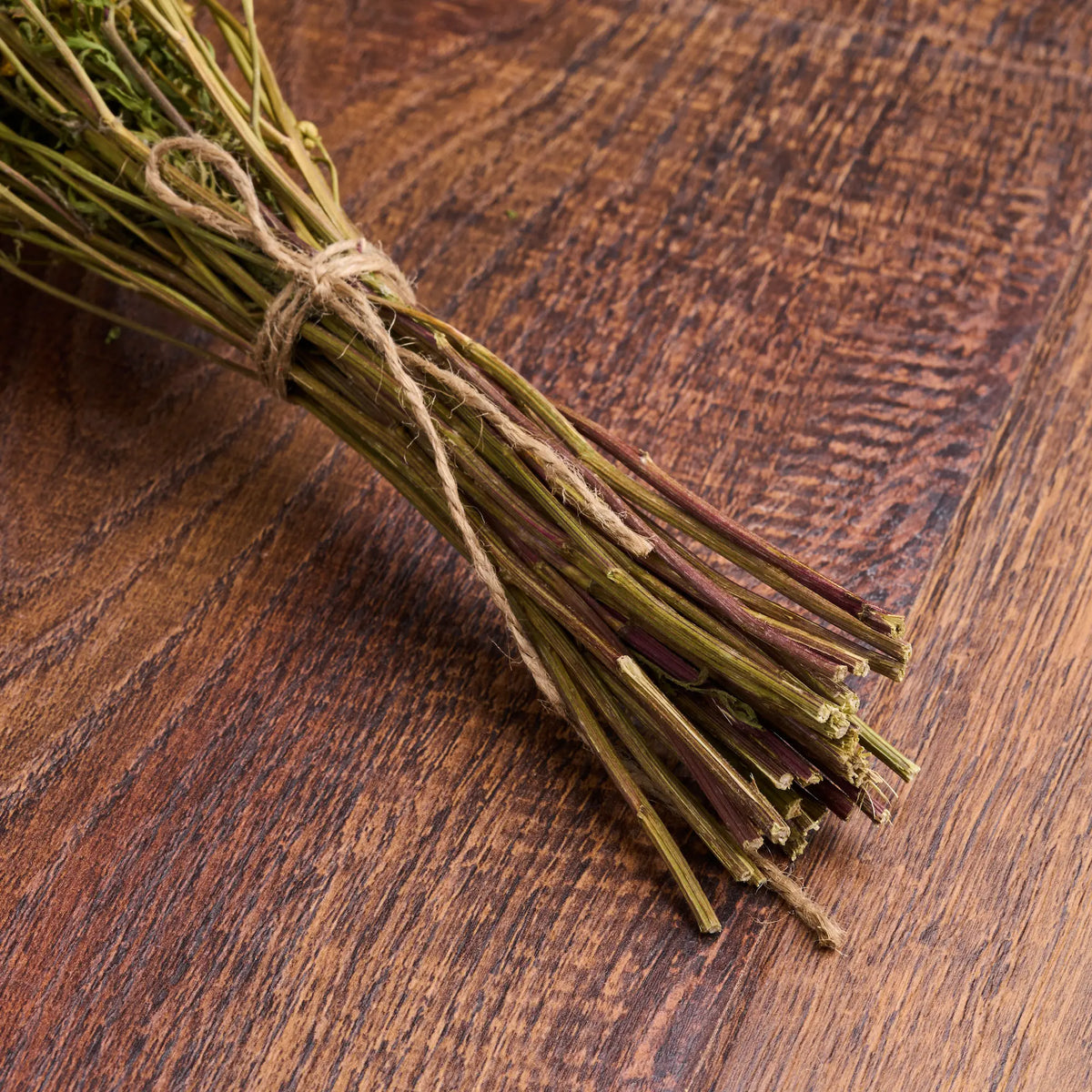 Tansy Sauna Herbs (Tanacetum)
