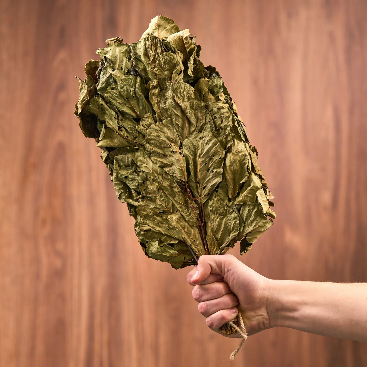 Alksnio vanta (Alnus)