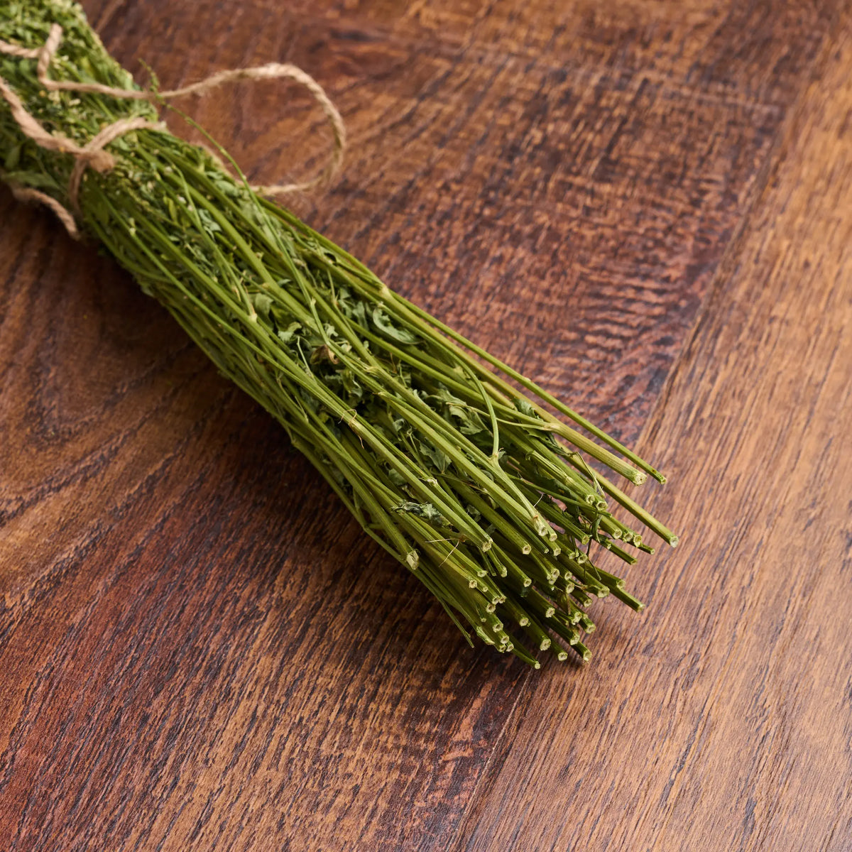 White Melilot Sauna Herbs (Melilotus albus)