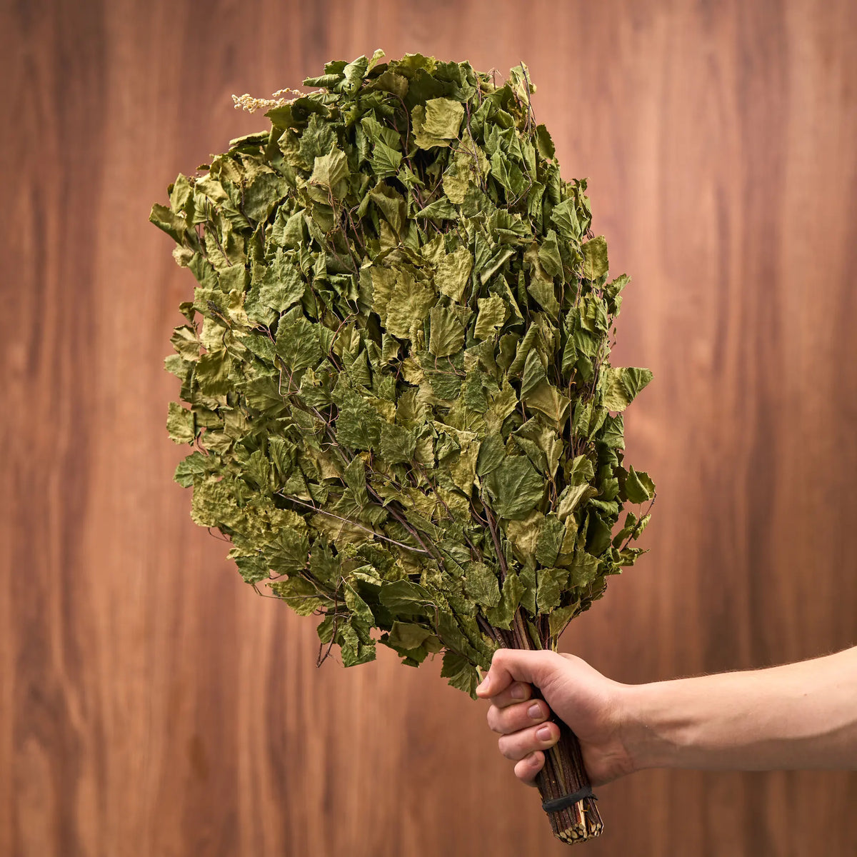 XXL Birch Sauna Whisk (Betula)