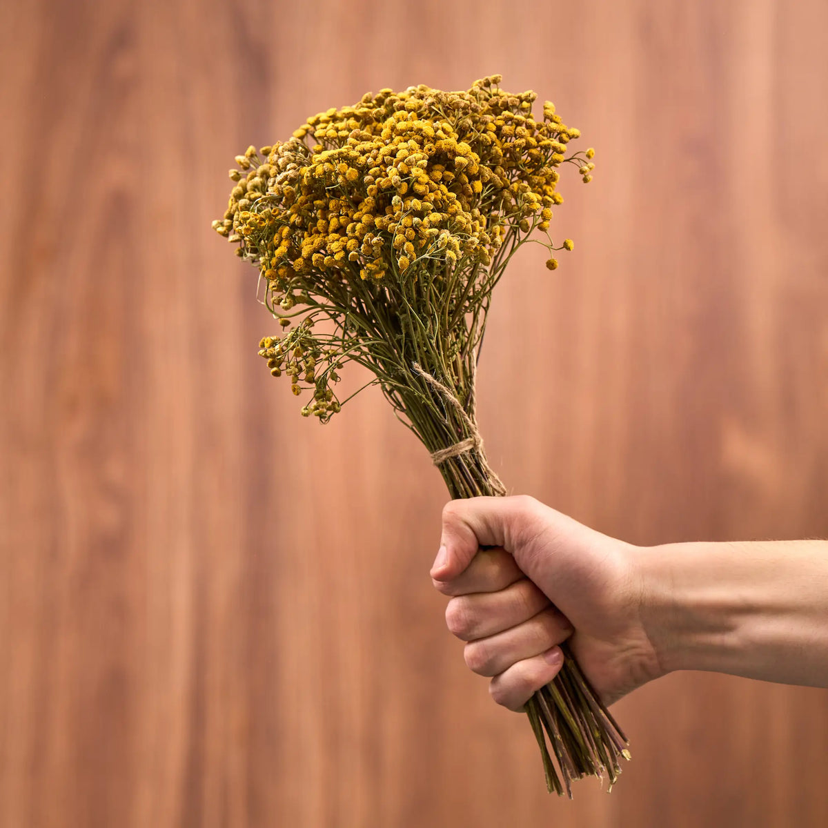Tansy Sauna Herbs (Tanacetum)