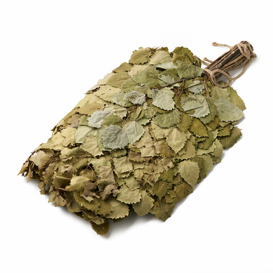 Aspen Sauna Whisk (Populus tremula)