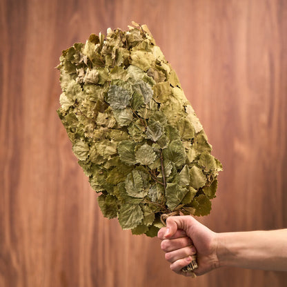 Drebulės vanta (Populus tremula)