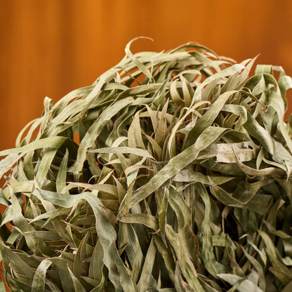 Eucalyptus Sauna Whisk (Eucalyptus)