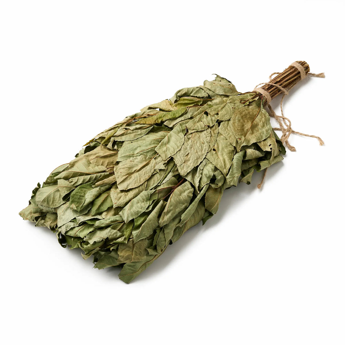 Bird Cherry Sauna Whisk (Prunus padus)