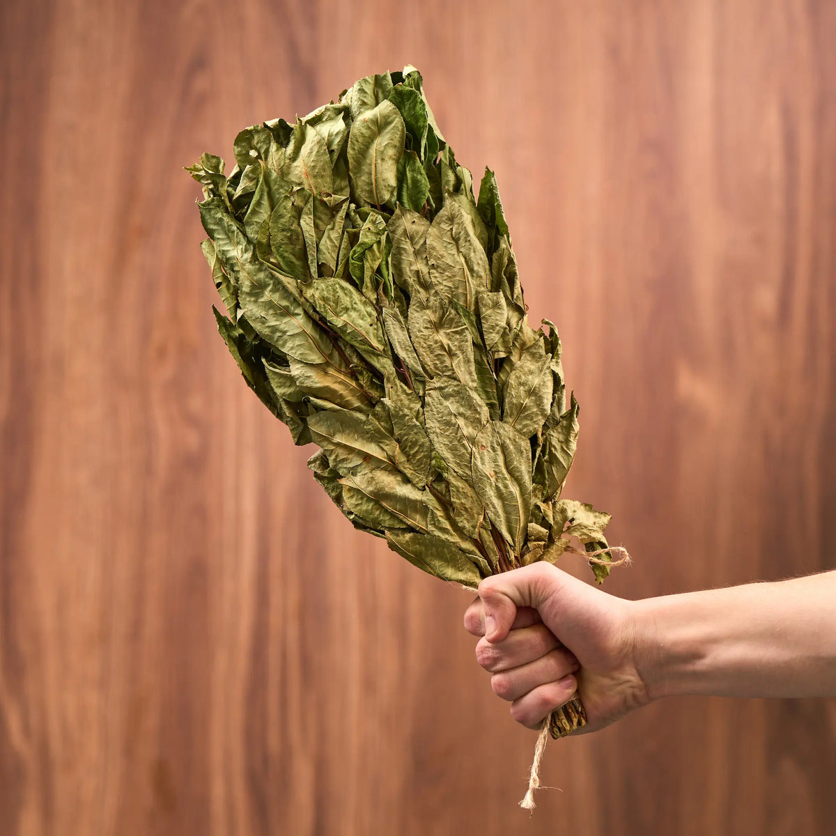 Bird Cherry Sauna Whisk (Prunus padus)
