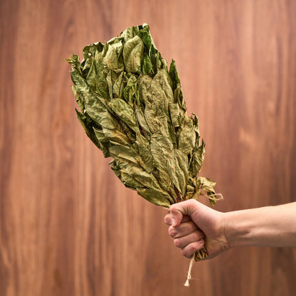 Bird Cherry Sauna Whisk (Prunus padus)