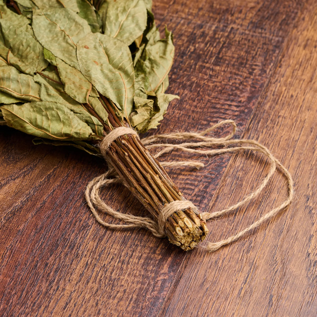 Bird Cherry Sauna Whisk (Prunus padus)