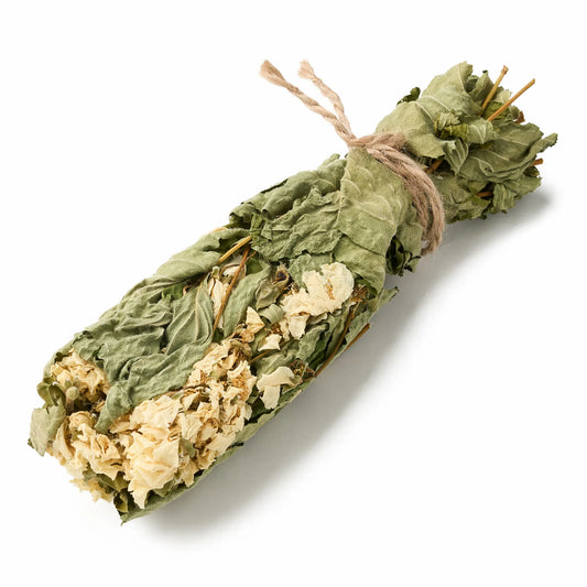 Mock-orange Sauna Herbs (Philadelphus)