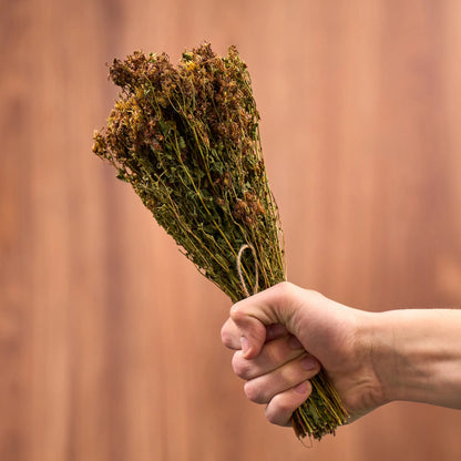 St. John's Wort Sauna Herbs (Hypericum)