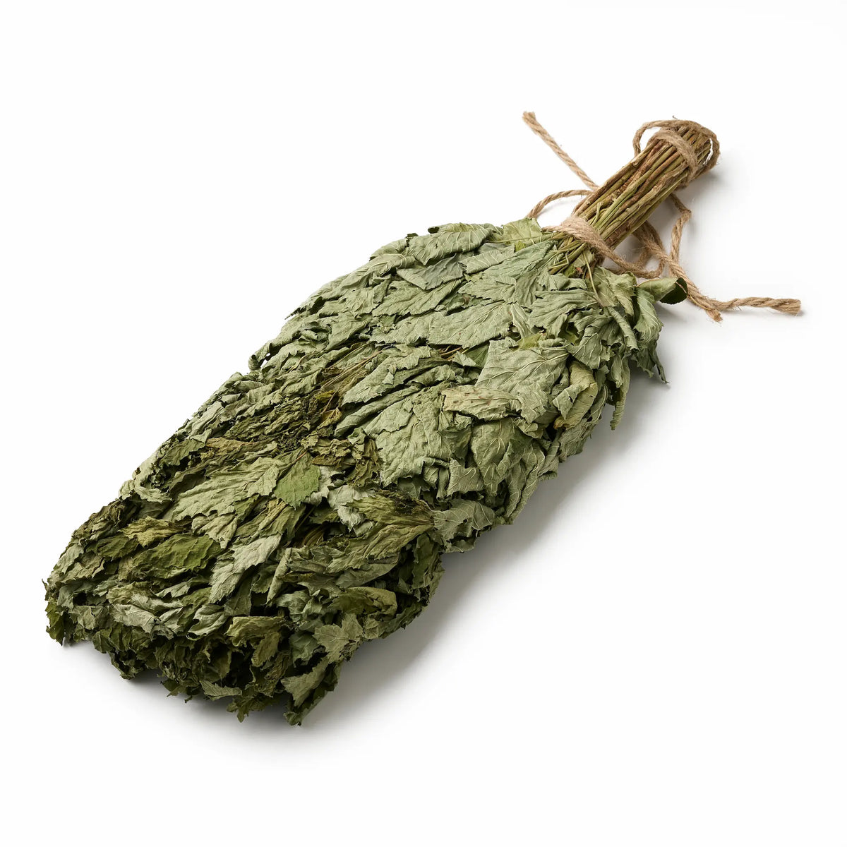 Black Currant Sauna Whisk (Ribes nigrum)