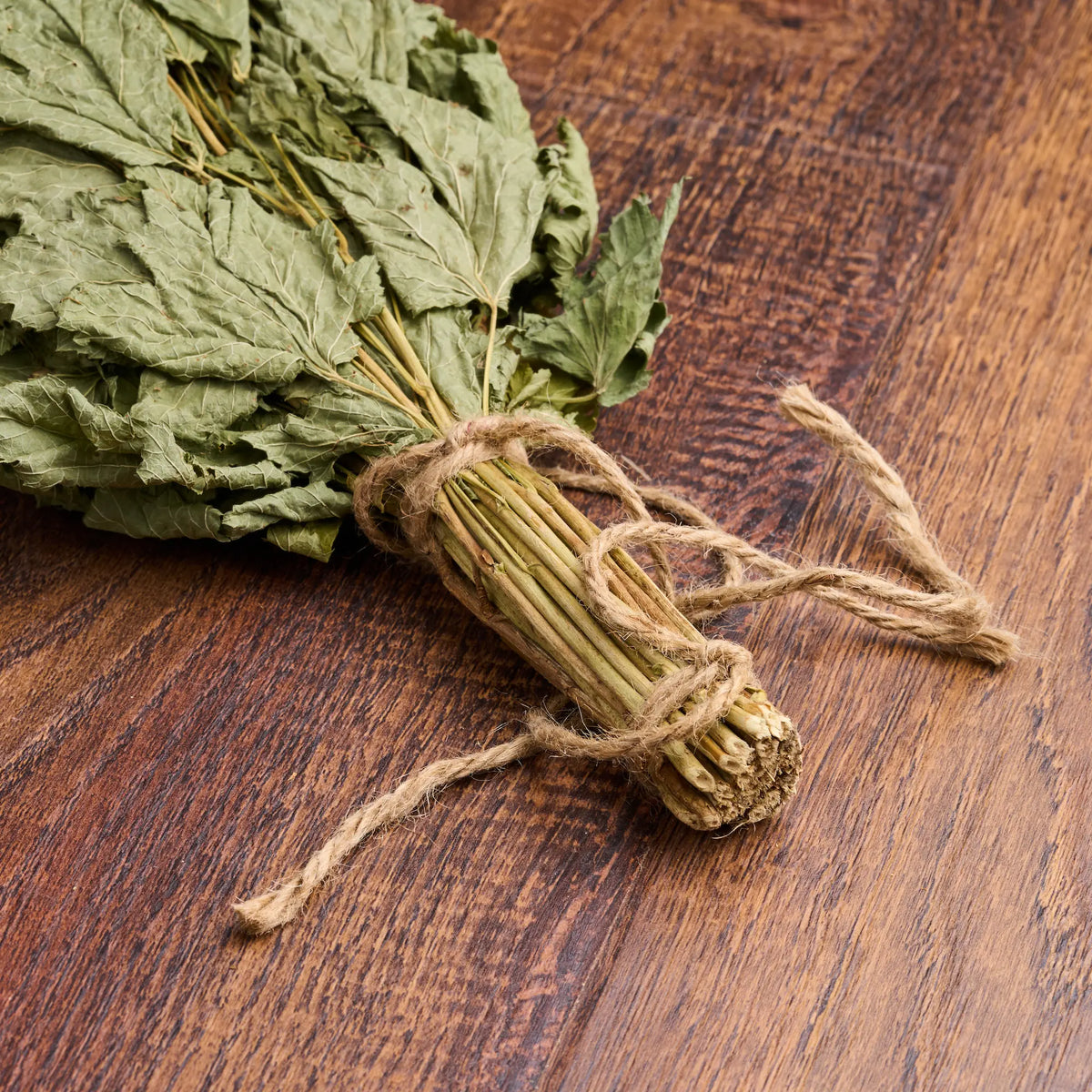 Black Currant Sauna Whisk (Ribes nigrum)