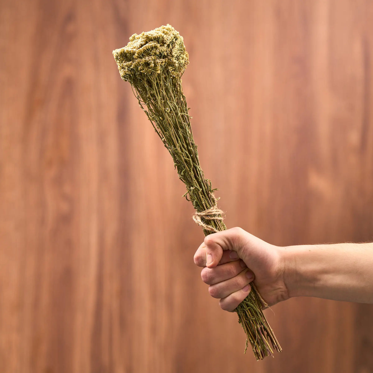 Yarrow Sauna Herbs (Achillea)