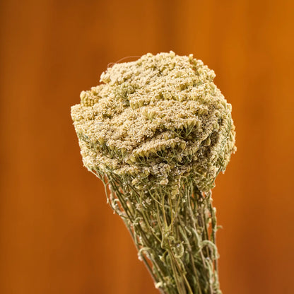 Yarrow Sauna Herbs (Achillea)