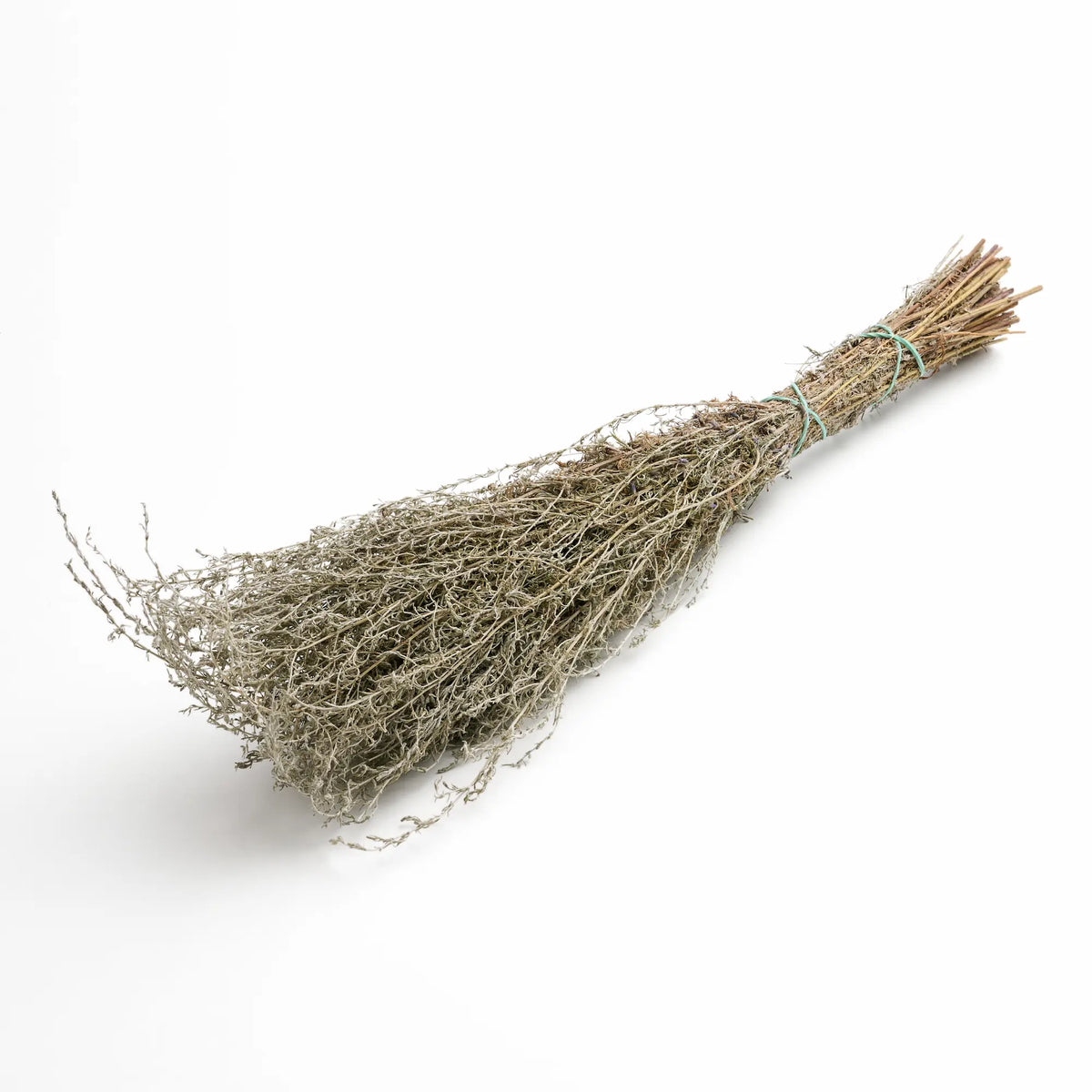 Taurine Wormwood Sauna Herbs (Artemisia taurica)