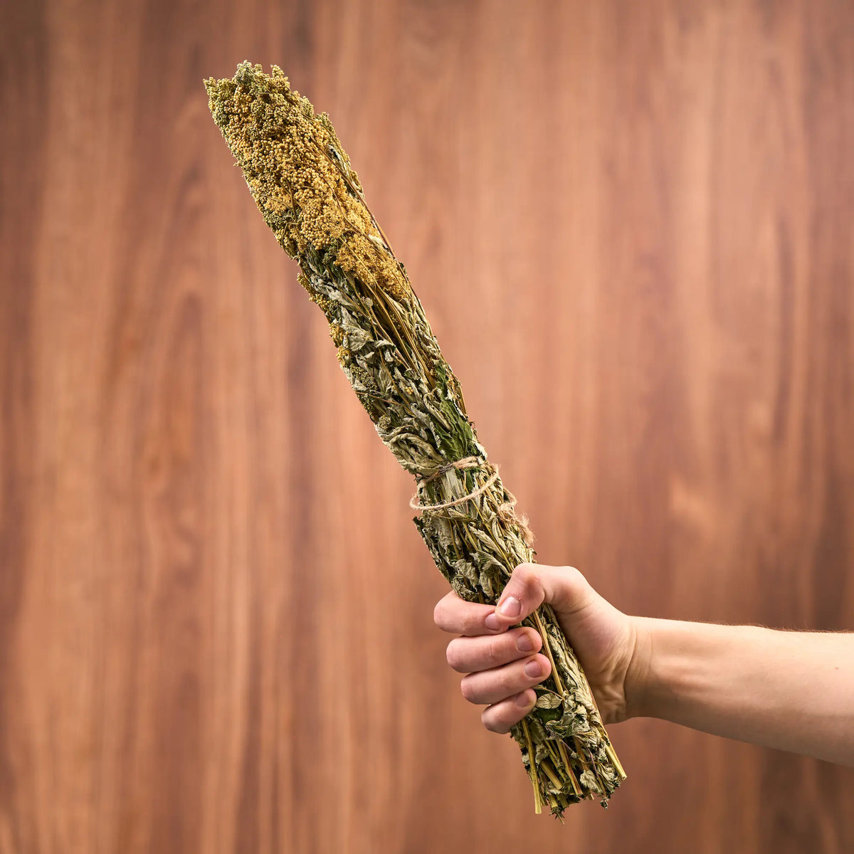 Meadowsweet Sauna Herbs (Filipendula ulmaria)