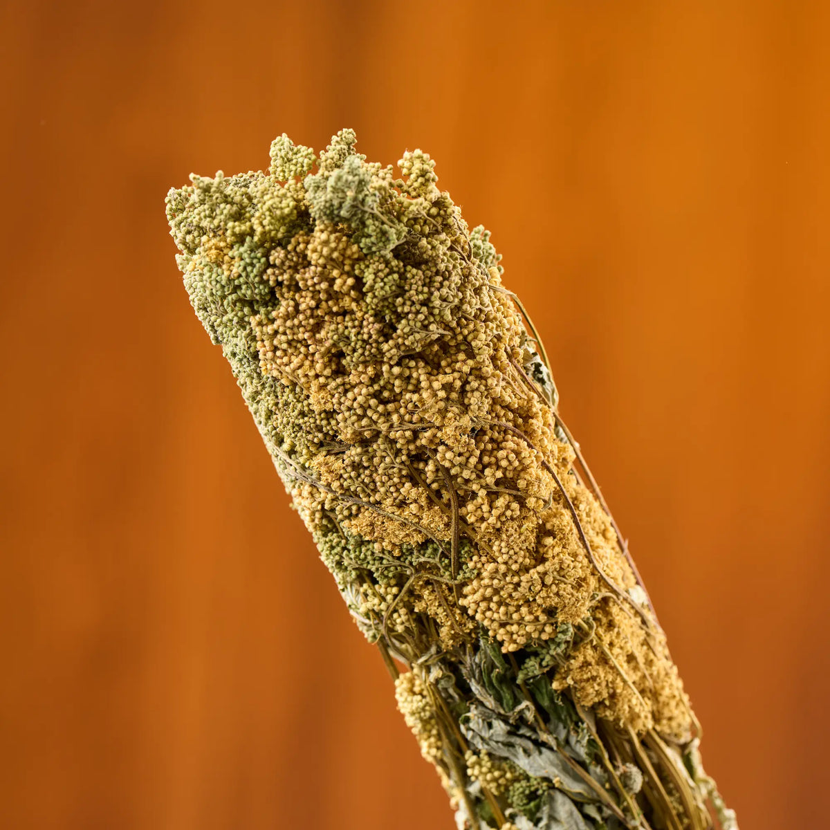 Meadowsweet Sauna Herbs (Filipendula ulmaria)
