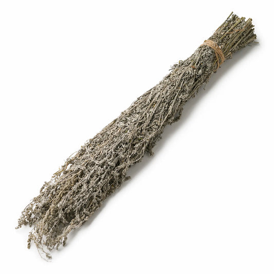 Common Wormwood Sauna Herbs (Artemisia absinthium)
