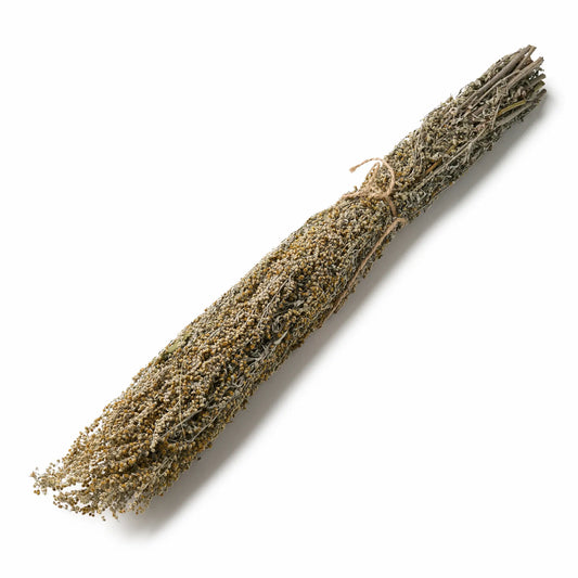 Flowering Wormwood Sauna Herbs (Artemisia absinthium)