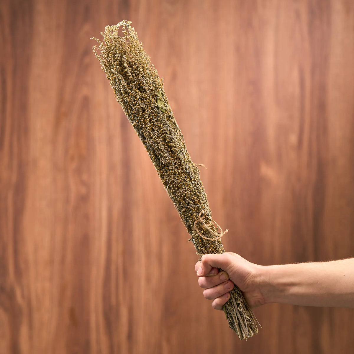 Flowering Wormwood Sauna Herbs (Artemisia absinthium)