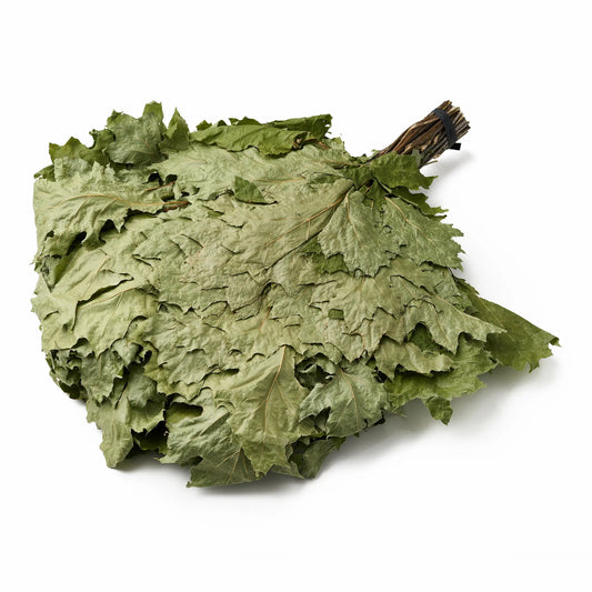 Red Oak Sauna Whisk (Quercus rubra)