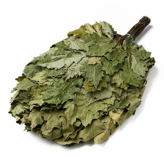 XXL Red Oak Sauna Whisk (Quercus rubra)