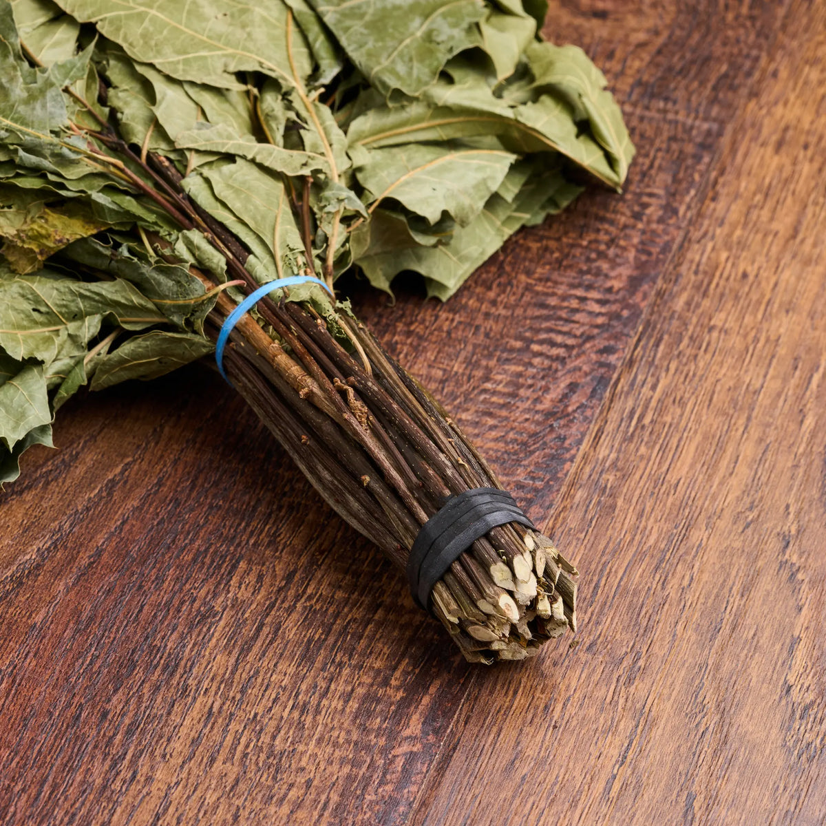 XXL Red Oak Sauna Whisk (Quercus rubra)