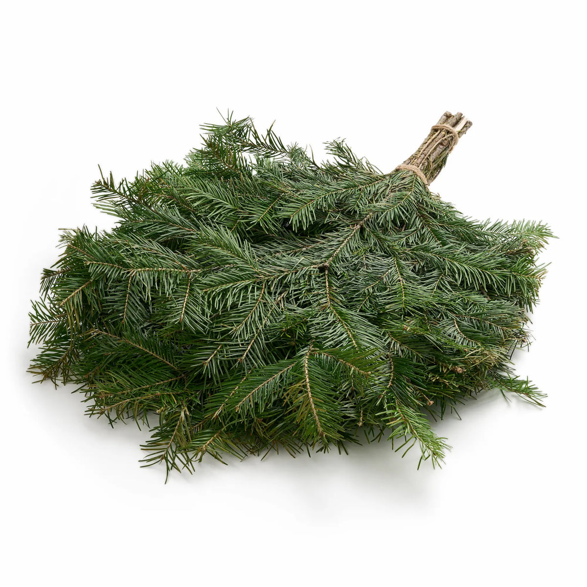 Siberian Fir Sauna Whisk (Abies sibirica)