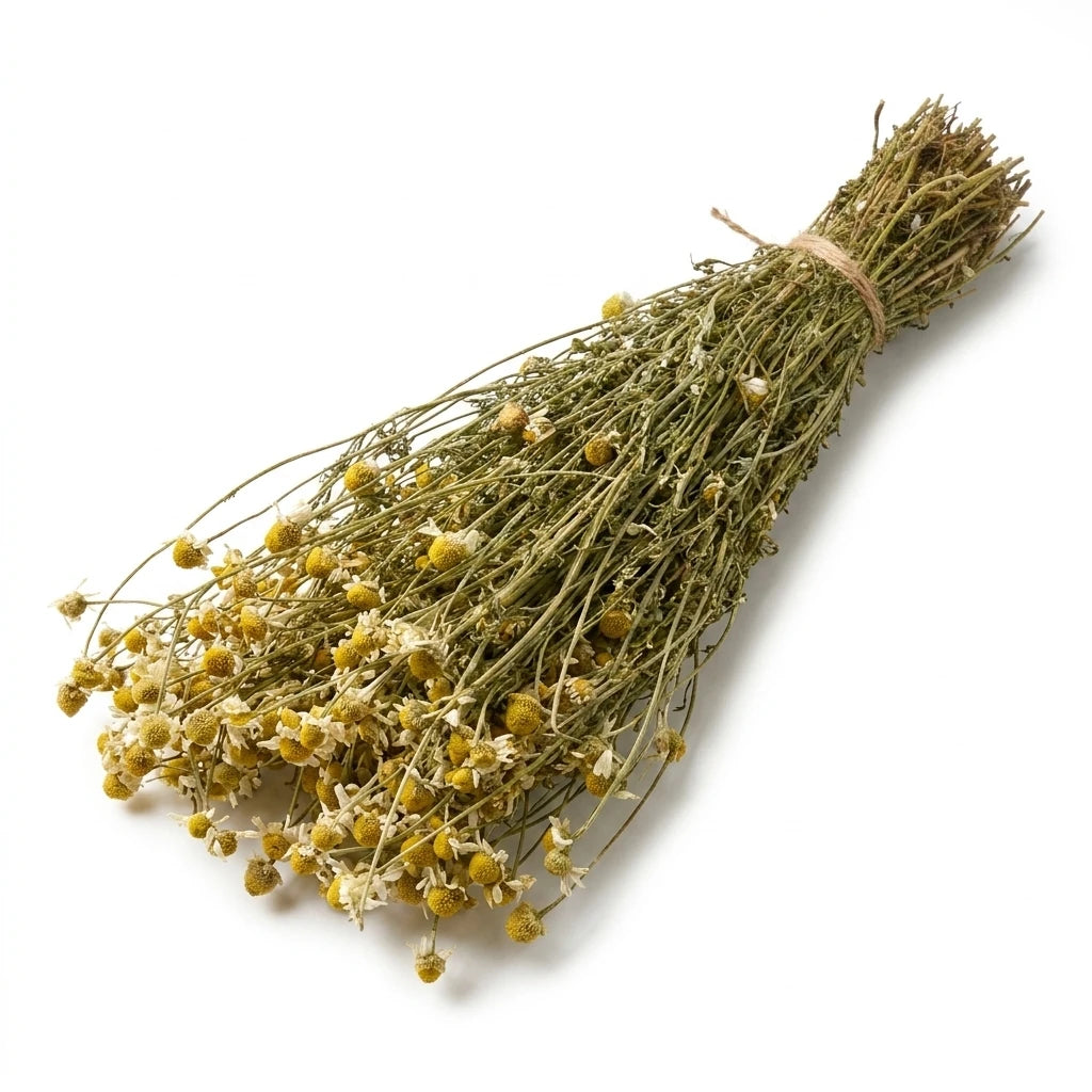 Chamomile Sauna Herbs (Matricaria chamomilla)