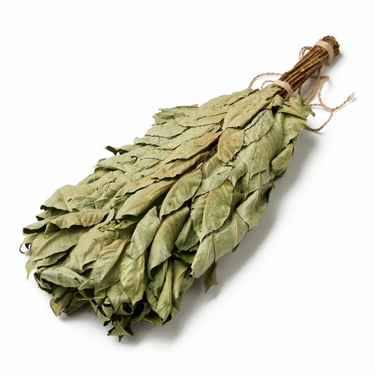 Cherry Sauna Whisk (Cerasus)